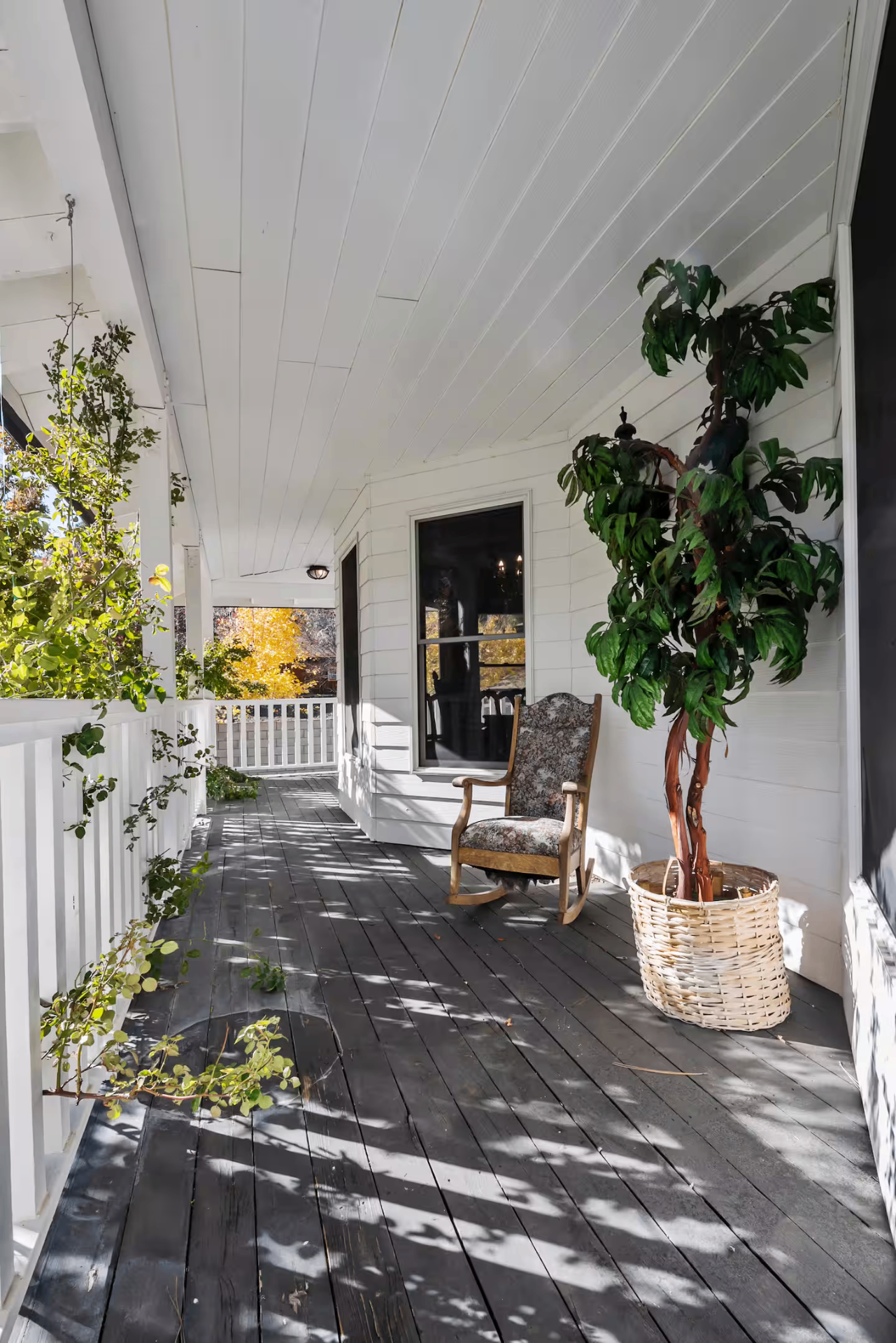 Outdoor patio & grounds